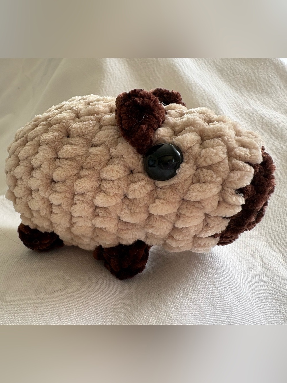 Pocket-sized capybara